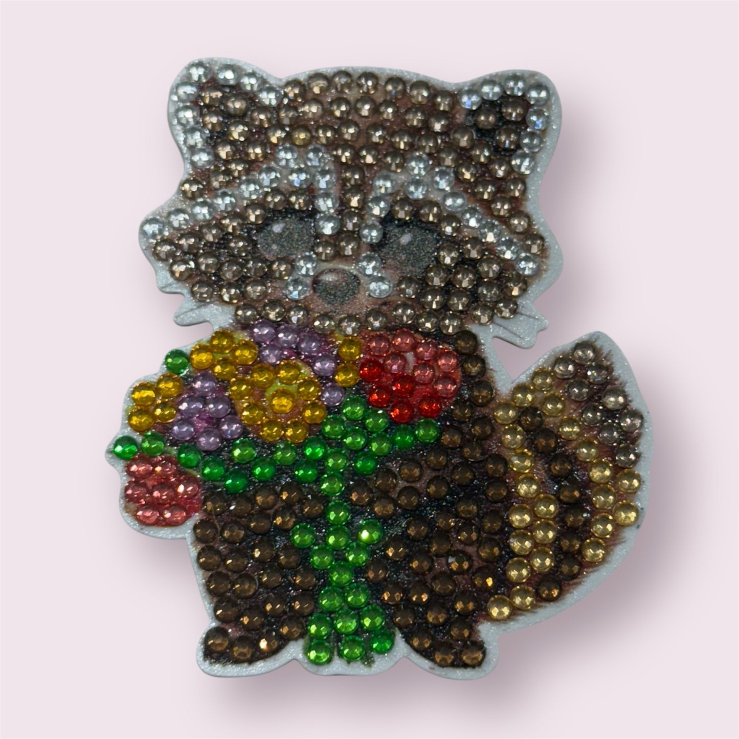 Raccoon